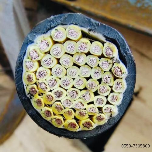 IMG_6536.jpg IMG_6536.jpg