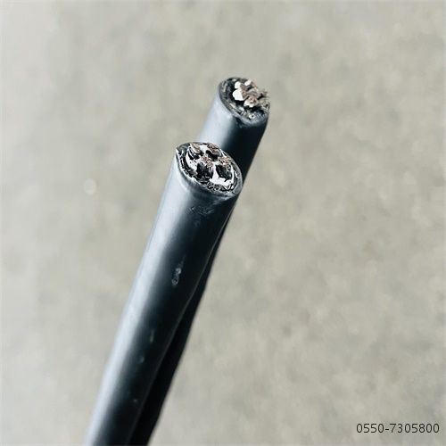 IMG_7916.jpg IMG_7916.jpg