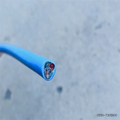 ÌØÖÖµçÀ³§¼Ò304.jpg ÌØÖÖµçÀ³§¼Ò304.jpg