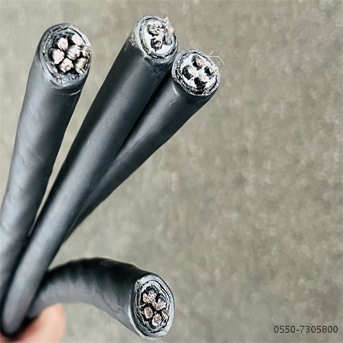 ÌØÖÖµçÀ³§¼Ò26.jpg ÌØÖÖµçÀ³§¼Ò26.jpg