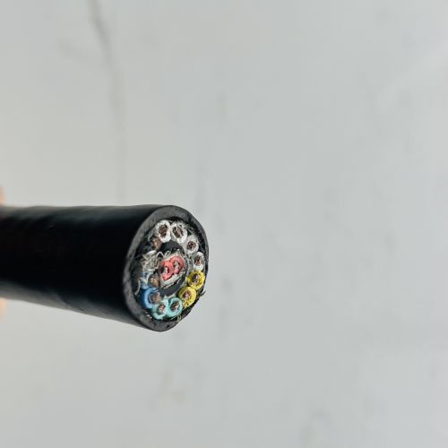 IMG_3176.jpg IMG_3176.jpg