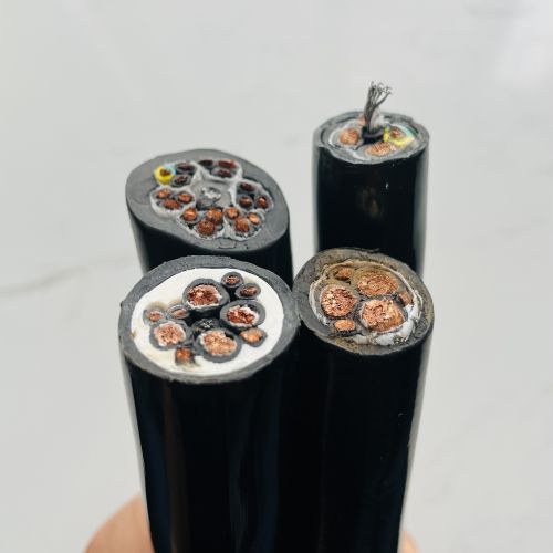 IMG_3177.jpg IMG_3177.jpg