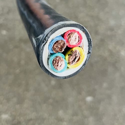 IMG_3877.jpg IMG_3877.jpg