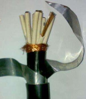 201703261053495796 201703261053495796