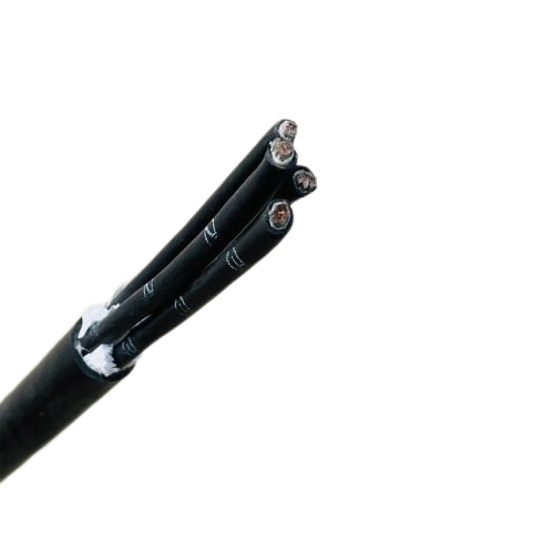 202411210936227175 202411210936227175