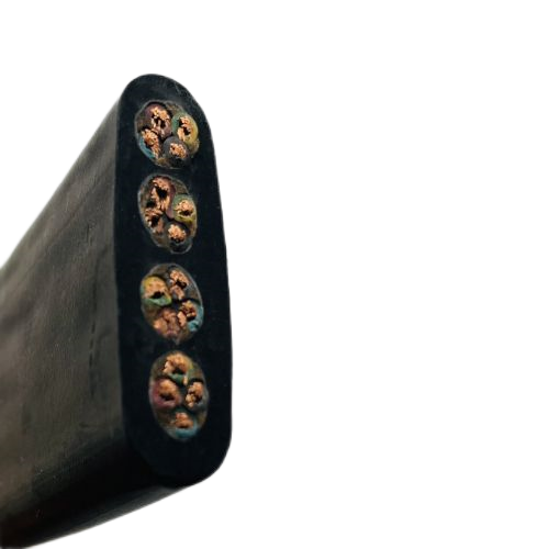 202412050910246854 202412050910246854