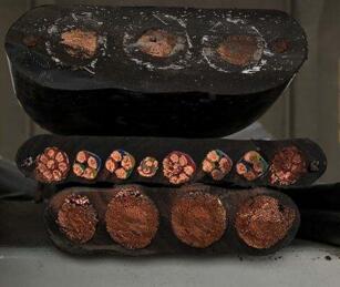 ������̳��hibet(�й�)�ٷ���վ