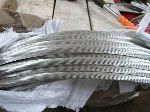 ������̳��hibet(�й�)�ٷ���վ