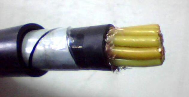 ������̳��hibet(�й�)�ٷ���վ