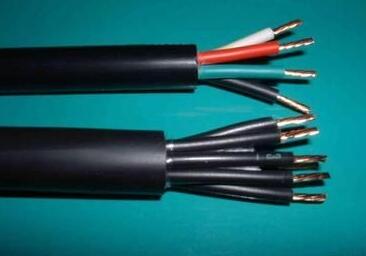 海博论坛·hibet(中国)官方网站