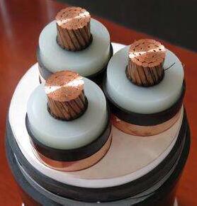 ������̳��hibet(�й�)�ٷ���վ