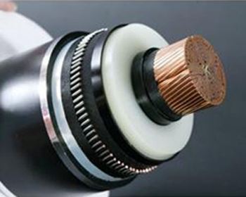 ������̳��hibet(�й�)�ٷ���վ