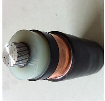 ������̳��hibet(�й�)�ٷ���վ