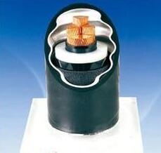 ������̳��hibet(�й�)�ٷ���վ