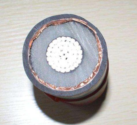 ������̳��hibet(�й�)�ٷ���վ