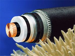 ������̳��hibet(�й�)�ٷ���վ