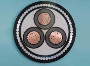 ������̳��hibet(�й�)�ٷ���վ