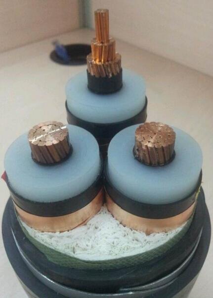 ������̳��hibet(�й�)�ٷ���վ