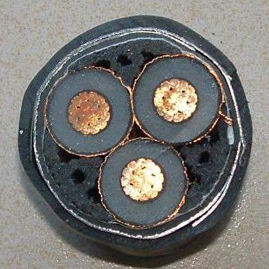 ������̳��hibet(�й�)�ٷ���վ