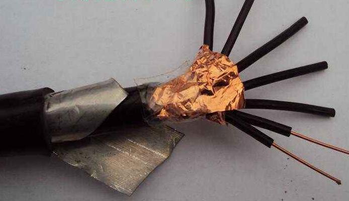 海博论坛·hibet(中国)官方网站