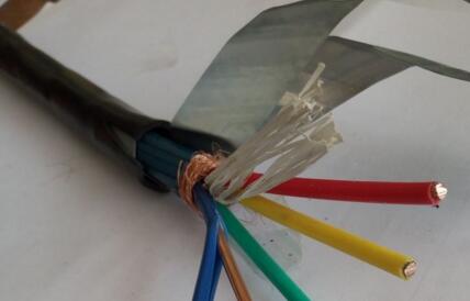 ������̳��hibet(�й�)�ٷ���վ