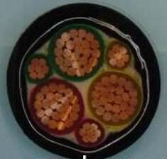 ������̳��hibet(�й�)�ٷ���վ