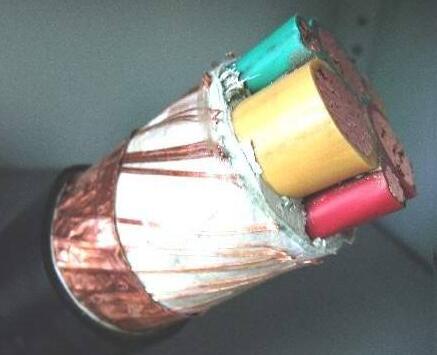 ������̳��hibet(�й�)�ٷ���վ