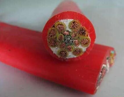 海博论坛·hibet(中国)官方网站