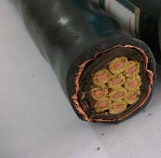 ������̳��hibet(�й�)�ٷ���վ