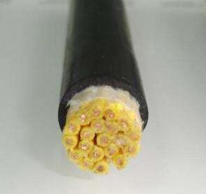 ������̳��hibet(�й�)�ٷ���վ