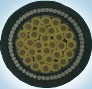 ������̳��hibet(�й�)�ٷ���վ