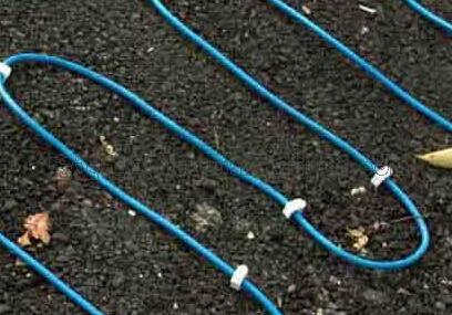 ������̳��hibet(�й�)�ٷ���վ