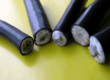 海博论坛·hibet(中国)官方网站