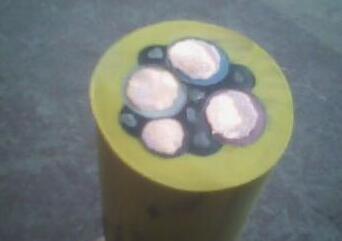 ������̳��hibet(�й�)�ٷ���վ