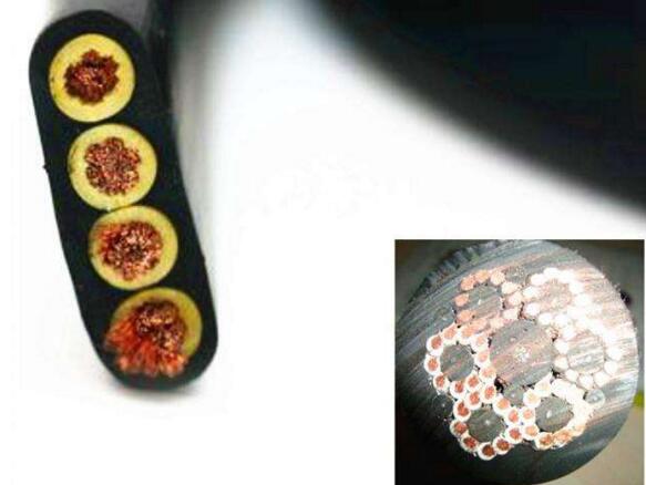 ������̳��hibet(�й�)�ٷ���վ