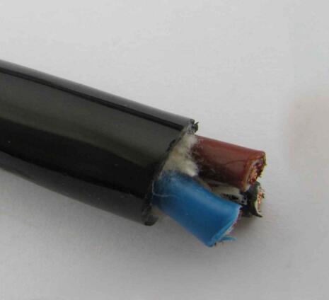 ������̳��hibet(�й�)�ٷ���վ