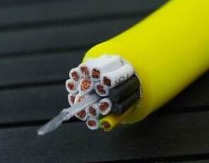 ������̳��hibet(�й�)�ٷ���վ