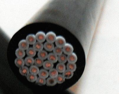 ������̳��hibet(�й�)�ٷ���վ