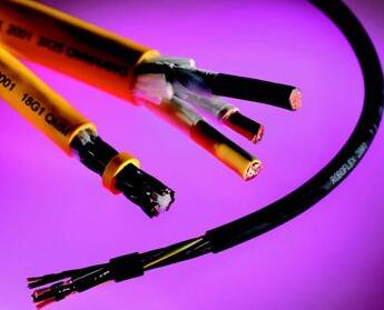 ������̳��hibet(�й�)�ٷ���վ