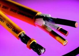 ������̳��hibet(�й�)�ٷ���վ