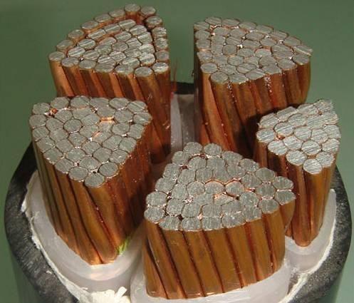 ������̳��hibet(�й�)�ٷ���վ