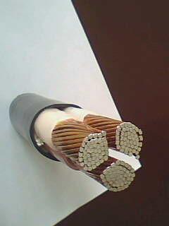 ������̳��hibet(�й�)�ٷ���վ