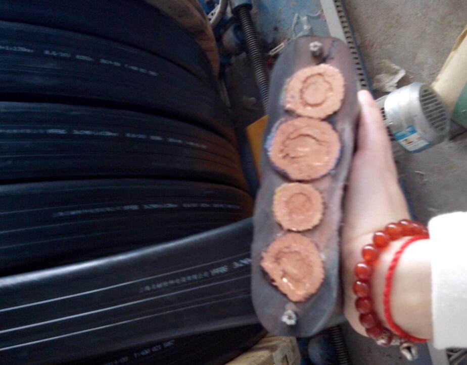 ������̳��hibet(�й�)�ٷ���վ