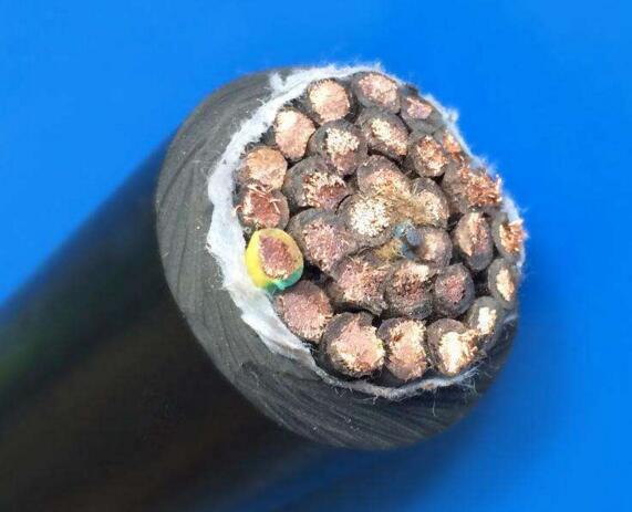 ������̳��hibet(�й�)�ٷ���վ