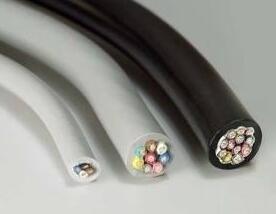 ������̳��hibet(�й�)�ٷ���վ