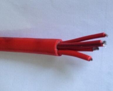 ������̳��hibet(�й�)�ٷ���վ