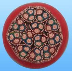 海博论坛·hibet(中国)官方网站