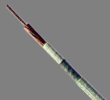 ������̳��hibet(�й�)�ٷ���վ