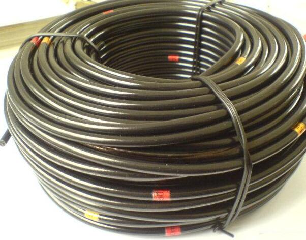 ������̳��hibet(�й�)�ٷ���վ