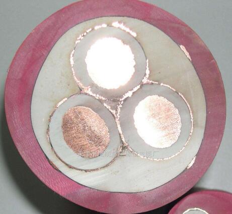 ������̳��hibet(�й�)�ٷ���վ